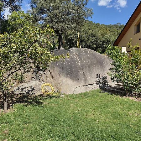 فيلا Casa Feliz Sant Cebrià de Vallalta المظهر الخارجي الصورة
