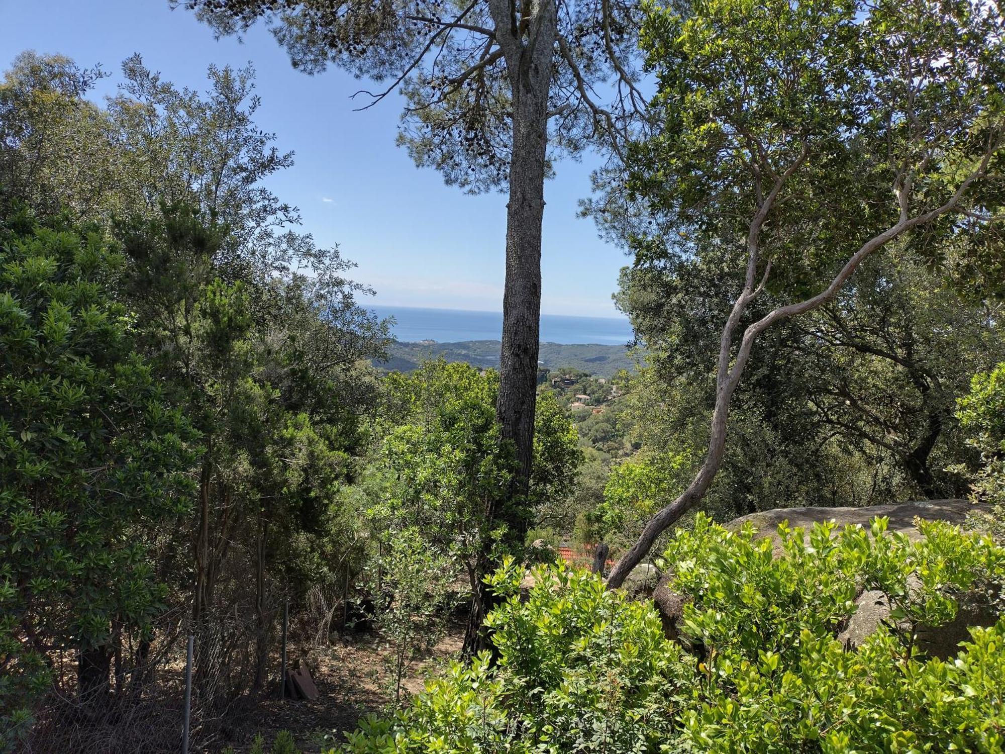 فيلا Casa Feliz Sant Cebrià de Vallalta المظهر الخارجي الصورة