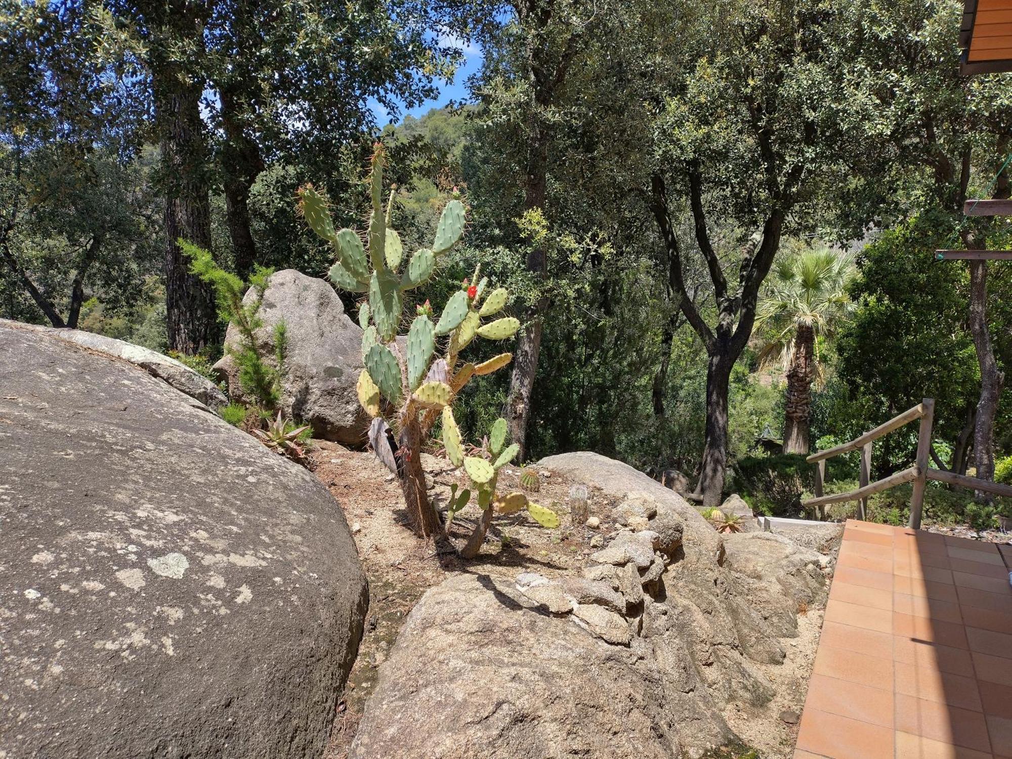 فيلا Casa Feliz Sant Cebrià de Vallalta المظهر الخارجي الصورة
