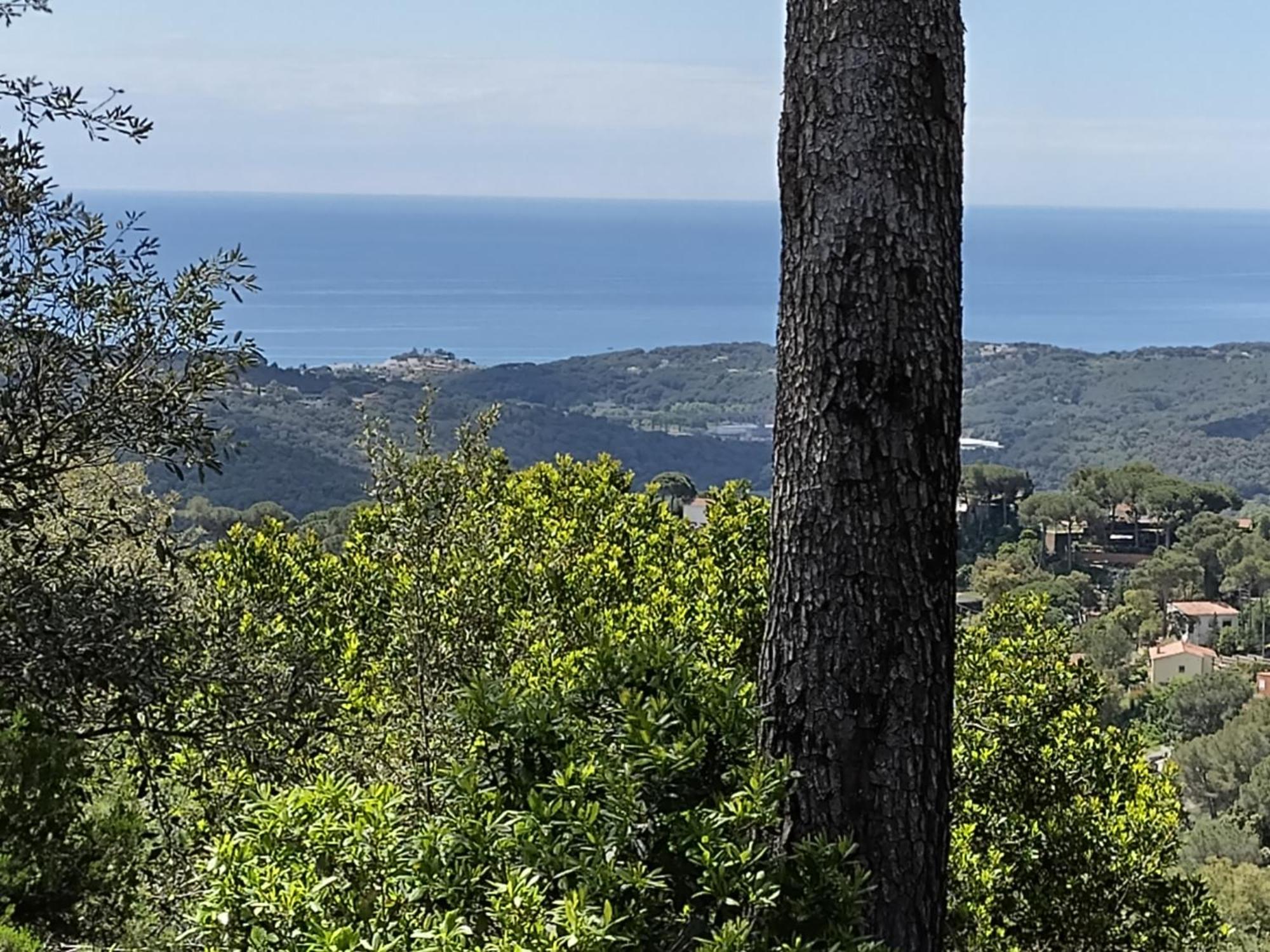 فيلا Casa Feliz Sant Cebrià de Vallalta المظهر الخارجي الصورة